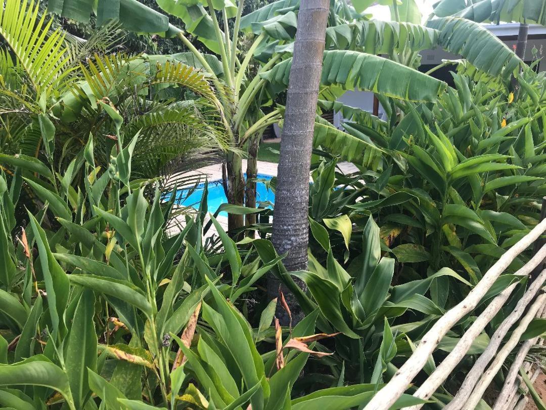 62 Hornbill Street Villa Saint Lucia Estuary Екстериор снимка